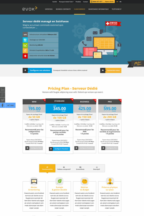 Webdesigner Fribourg Evok Cloud Service